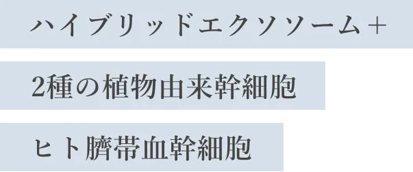 ハイブリッドエクソソーム＋/2種の植物由来幹細胞/ヒト臍帯血幹細胞
